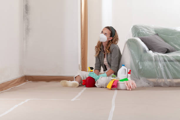 Reliable Mold Remediation contractor in Jonesville, MI by 24 Hour Mold Removal
